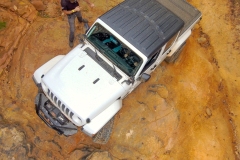 Stuart - Georgia Jeep Alliance 