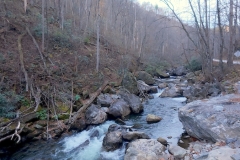 overlanding-georgia-traverse-charlies-creek