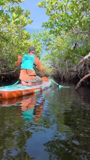 Sometimes the adventure gets really quiet.
No trails. No engine. No destination I needed to get to.
Just a paddleboard, the mangroves, and a side of the Florida Keys I would’ve completely missed from the Jeep.
This might have been one of my favorite moments of the entire trip.
@festivewaterpaddlesports
#RoadRashOffRoad #FloridaKeys #Mangroves #Paddleboarding #FloridaAdventure