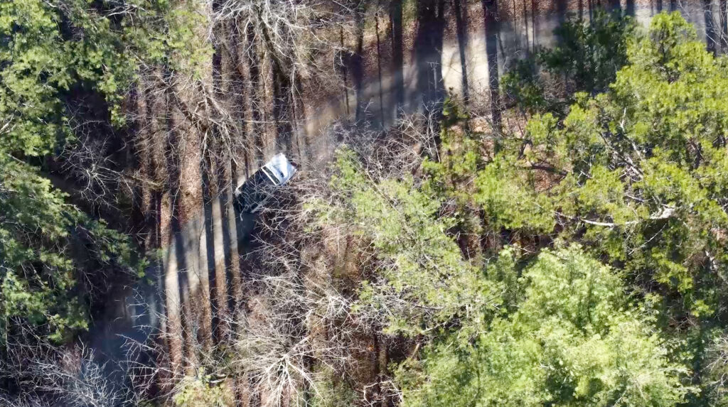 Cohutta Wilderness