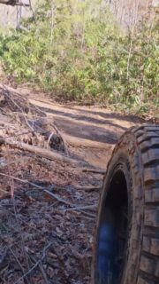Out exploring North Georgia and the trail had a few surprises for us.

Nothing crazy, just low-hanging trees that make you slow down, duck a little, and pick your line carefully to squeeze through without tearing anything up. It’s part of it… adapting to whatever the trail throws at you and just keeping it moving.

That’s what I enjoy about days like this. No rush, just working through it and enjoying being out there.