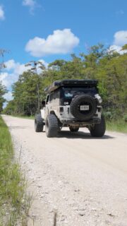 Exploring Loop Road through the Everglades and came across a mama gator with her babies right along the trail! 🐊 Pretty cool to see, but we figured it was best to give them some space and keep moving! 😂

#RoadRashOffRoad #FloridaAdventure #everglades