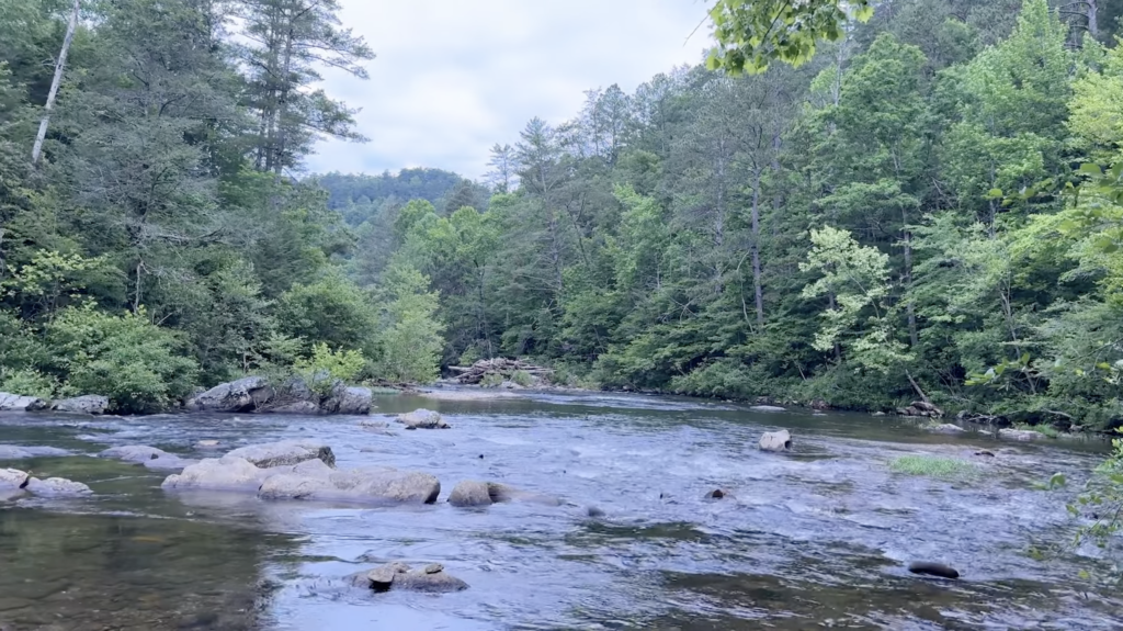 exploring the Conasauga Snorkling Hole