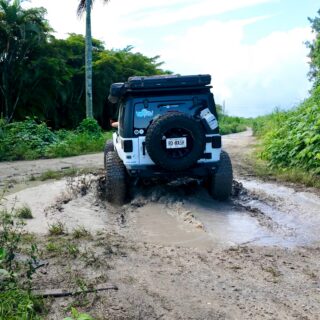 From the palm trees to the muddy trails… Florida definitely has a little bit of everything! 🌴🚙

We found some pretty cool backroads, tight trails, and plenty of mud along the way. The Jeep got a little dirty, but that’s part of the adventure!

Definitely not the Florida most people think of when planning a trip down here!

#RoadRashOffRoad #FloridaAdventure #Overlanding #JeepLife #offroadadventure