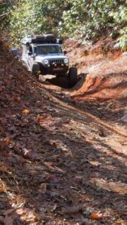 Out on the trail with English and it started getting a little off-camber.

Nothing crazy, but enough to slow it down, pick the right line, and let the rigs flex a bit. That feeling when it leans just enough to get your attention… keeps it interesting.

Just part of being out there and taking the trail as it comes. 🚙